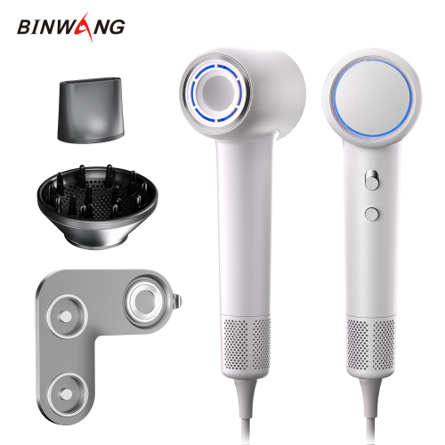 BINWANG V20 Pro Heavy-Duty Thermostatic Hotel Hair Dryer with Negative Ion