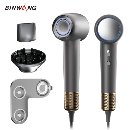 BINWANG V20 Pro OEM/ODM Wholesale High-Speed Hair Dryer for Hospitality Supplies