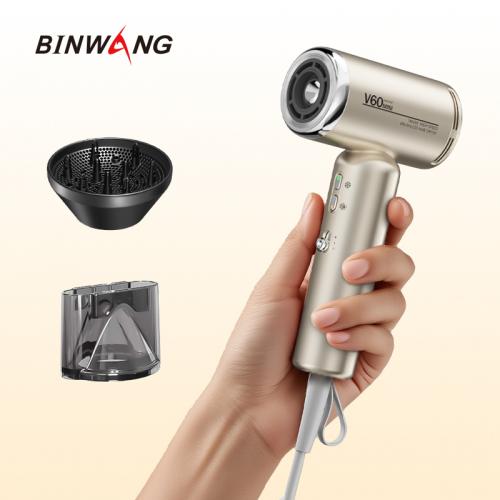 >Binwang Luxury Mini High Speed Blow Dryer Portable 1200W Global Voltage Ionic Hair Dryer with Diffuser Gift Set 4 Colors